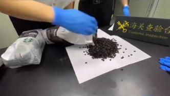 暗藏“玄机”的咖啡豆：泉州海关包裹中查获大麻