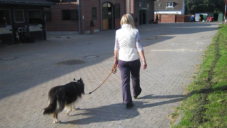 德国拟颁布法律要求狗主人每天至少遛狗两次，每次至少一小时