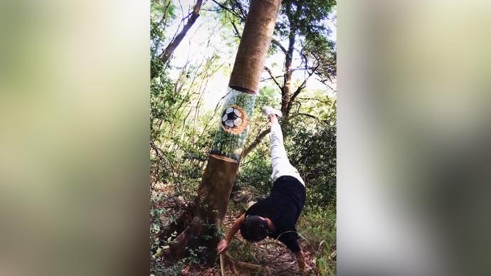 “草根”画家的3D绘画：让一段树干隐形