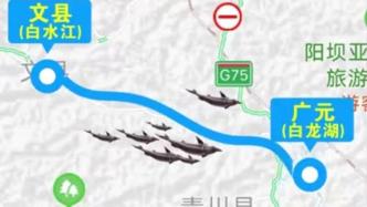 甘肃数千吨大型鲟鱼因暴雨逃逸至四川，文县渔政：正抢救排险