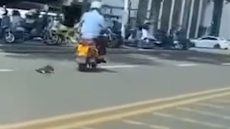 警方通报男子骑摩托拖行小狗：其想收养，狗跟车体力不支