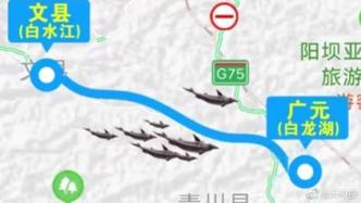 大型鲟鱼因暴雨逃逸至四川，甘肃渔业管理局：企业已组织捕捞
