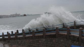 直播录像丨台风“巴威”登陆朝鲜平安北道沿海，东北风雨强劲