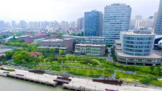 “工业锈带”变“生活秀带”，上海杨浦加快推进城市有机更新