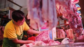 今年前7个月上海关区猪肉进口量增价涨