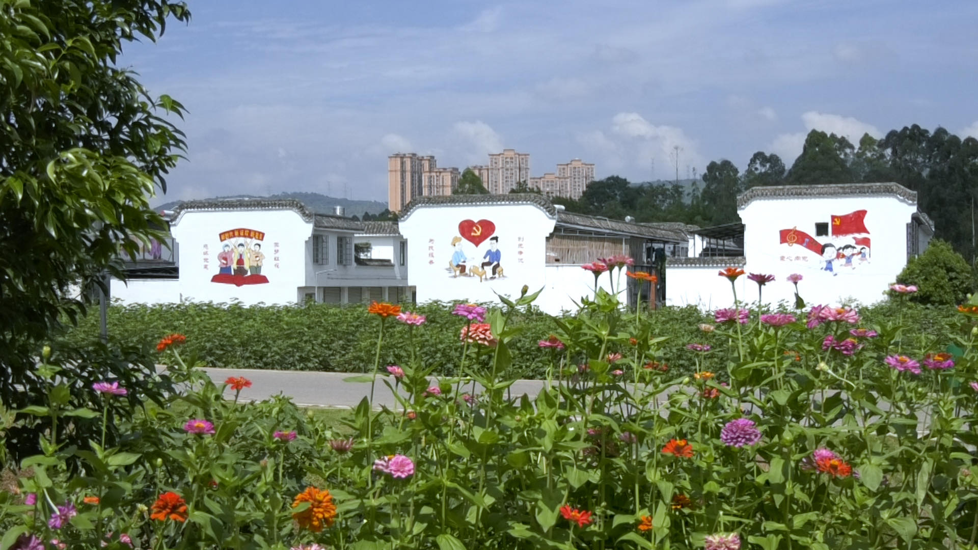 魅力新村幸福红花