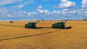 银保监会批复同意筹建中国农业再保险公司，注册资本161亿