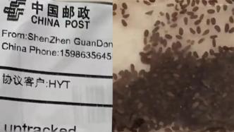 驻日使馆：日本民众收到“中国邮政”不明快递的面单系伪造