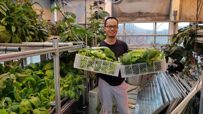 上海医生在南极种菜：让队员们及时补充维生素是重要的工作