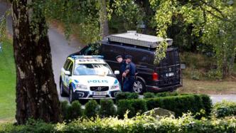 瑞典俩男孩拒买毒品遭强奸活埋，嫌犯被捕
