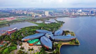 上海临港新片区启动强化竞争政策试点，共11条