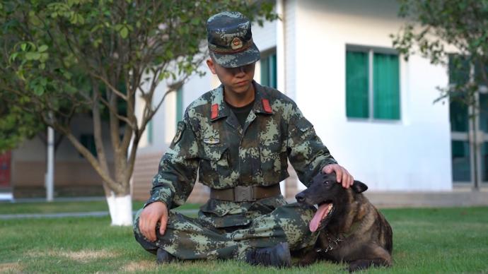 警犬训导员退役：无言的战友请珍重