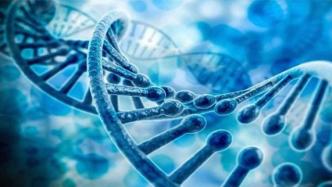 多国科学家警告基因组编辑技术还未能安全用于人类