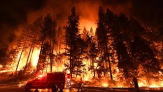 加州山火肆虐，直升机救出200余名被困游客