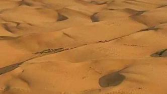 中国第八大沙漠实施生态补水，缓解沙区地下水位下降问题
