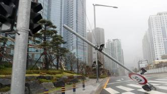 台风“海神”袭击日韩致近50万户居民停电，50余人受伤