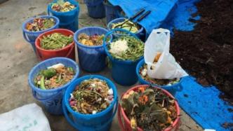 社区堆肥｜印度班加罗尔（上）：从垃圾围城到垃圾分类