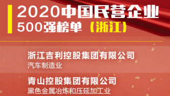 96家浙企上榜新版中国民企500强，上榜数连续22年第一