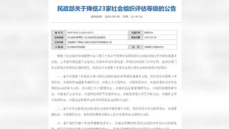 中国中药协会被连降两级：曾表彰鸿茅药酒引争议