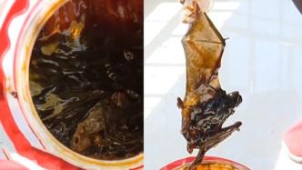 6公斤蚝油吃了近3个月，桶底发现完整蝙蝠