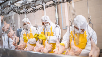 全国鸡肉价格3年首降，快餐行业掀起鸡肉降价潮