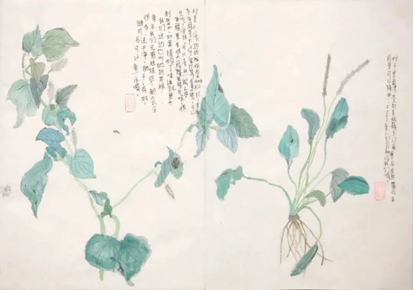 一名留守儿童的画作。