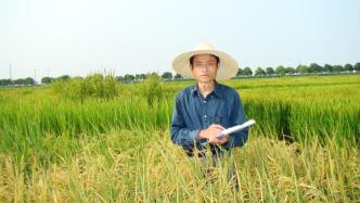 比农民更懂水稻的院士：二十多年标配草帽、汗巾、水靴三件套