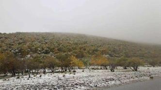 内蒙古赤峰迎今年入秋以来首场雨加雪天气