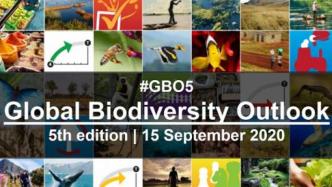 联合国《全球生物多样性展望》:十年廿目标中仅部分实现六个