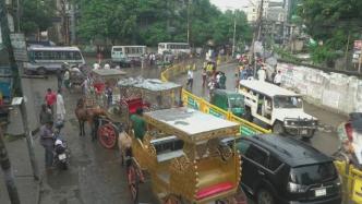 疫情下孟加拉达卡街头：马车汇成风景线