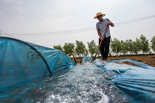 农业农村部:国家将加强粮食生产功能区农田基础设施建设
