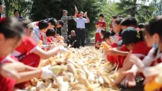 最美丰收丨200名小学生体验掰玉米：粮食来之不易