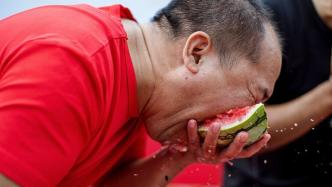 中国丰收节｜长三角“西瓜运动会”开赛，农民摘瓜吃瓜庆丰收