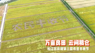 上海松江今年预计产粮约9万吨：占据重头的中晚熟稻长势良好