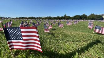 面向白宫！美国志愿者在国家广场插2万国旗，纪念20万新冠死者