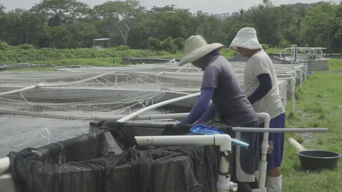 萨尔瓦多望扩大对中国水产养殖产品出口