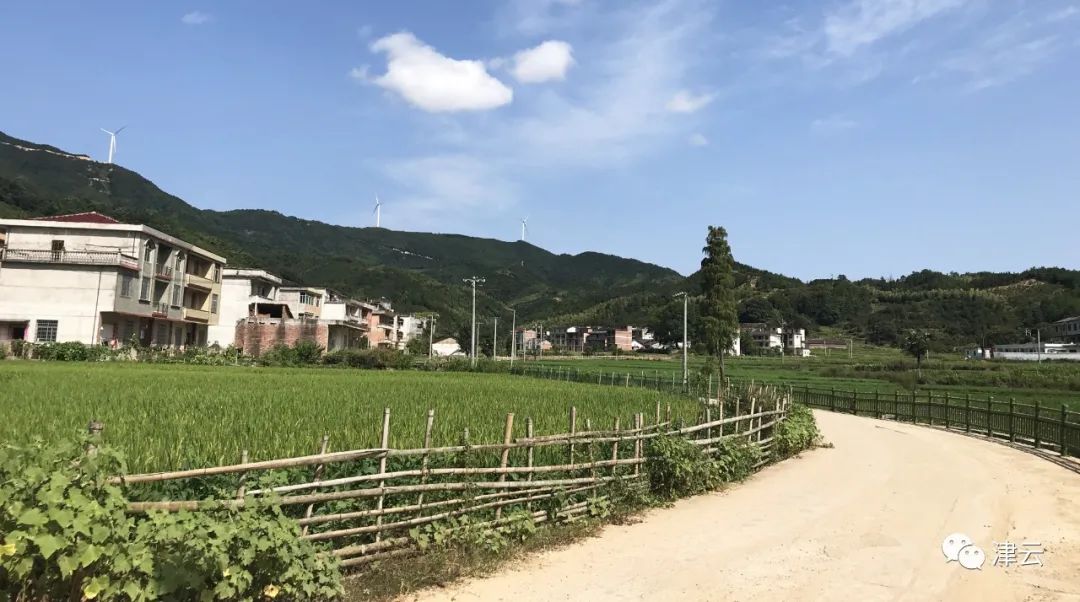 白石村