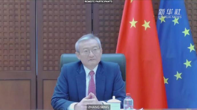 中国驻欧盟使团团长应邀出席欧洲议会辩论