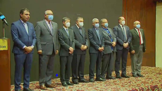“后新冠疫情时代的人类命运共同体”论坛在开罗举行