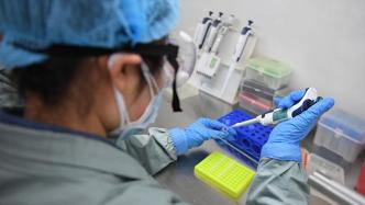 山东昨日新增2例新冠无症状感染者，为青岛在例行检测时发现