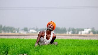 印度农业法改革恐冲击粮食收购保证价格，农民占领道路抗议