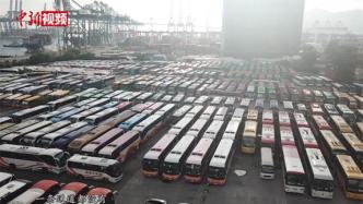 香港旅游巴士坟场：旅游业几乎停摆，近千辆车停泊超半年