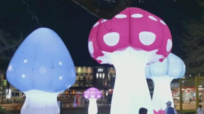 看巨型蘑菇灯！新西兰举行夜间街头艺术节