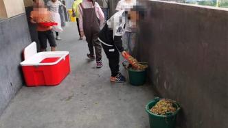 阜阳官方回应“营养餐被丢溢出垃圾桶”：正调查