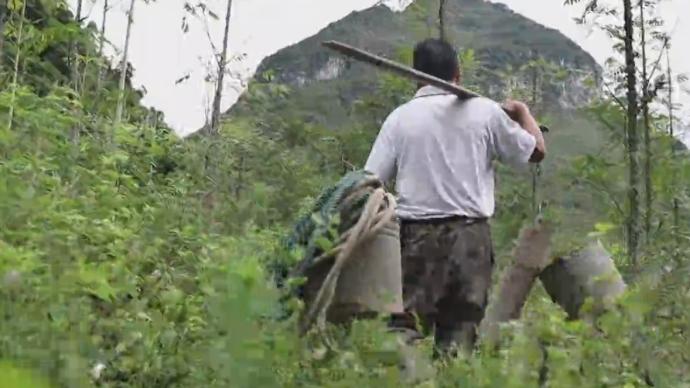 大石山区“找水”记：用刀砍出路，向溶洞要水喝