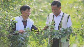 贵州海雀村变形记：石缝里种树，荒山变绿色产业