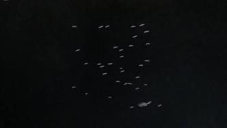 湖南永州为保护候鸟熄灭高射灯：让它们安全迁徙