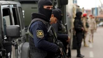 埃及内政部：安全部队杀死两名恐怖分子