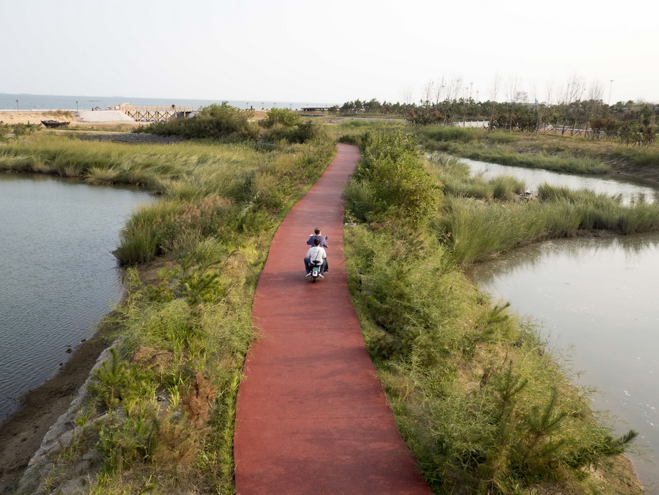 _XHF0487父子在阳光海岸绿道上骑行－许海峰 摄.jpg