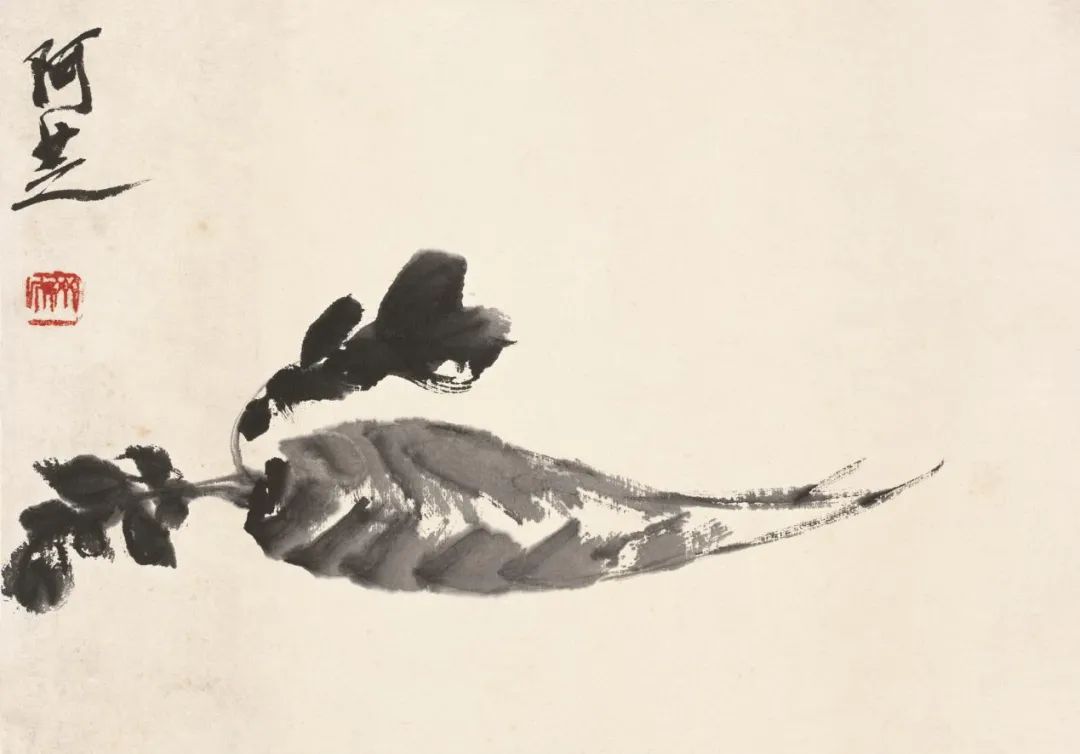 萝卜(《小品册页》之七) 齐白石 22cm×31.5cm 无年款